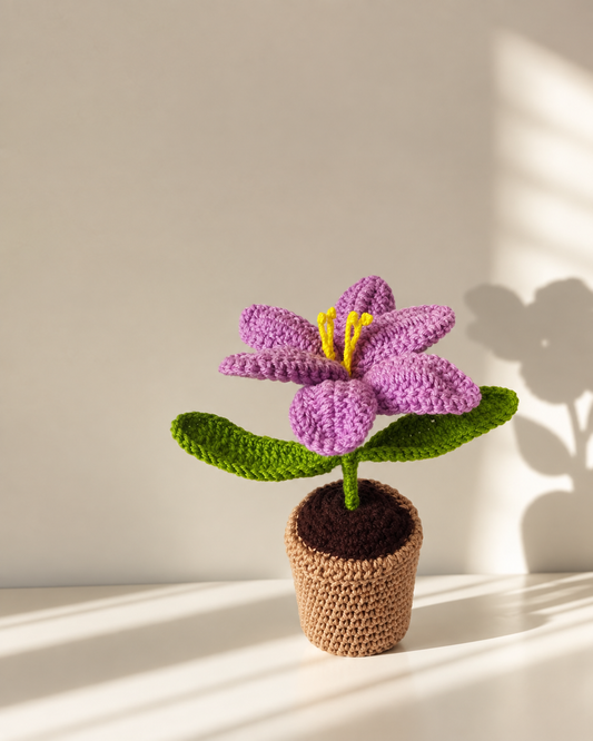 Crochet Flower Pot