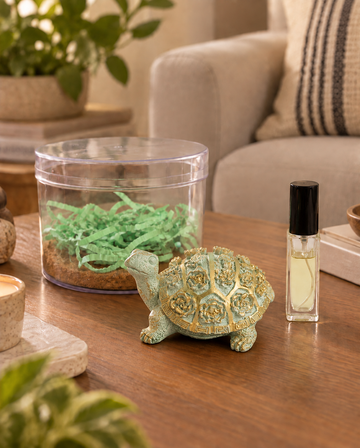 Turtle Decorative Showpiece with Aroma Diffuser Bottle