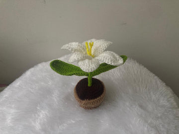 Crochet Flower Pot (White)
