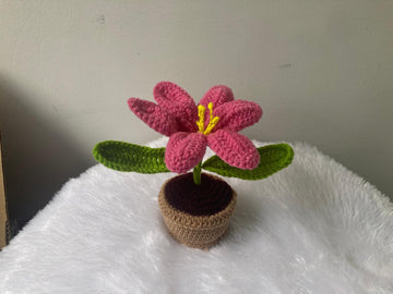 Crochet Flower Pot (Dark Pink)