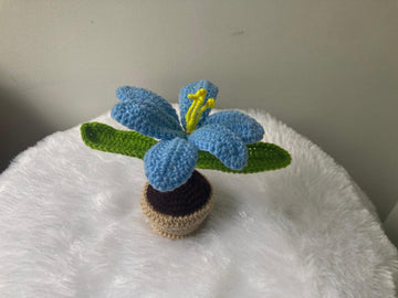 Crochet Flower Pot (Blue)