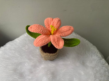 Crochet Flower Pot (Peach Pink)