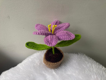 Crochet Flower Pot (Lavender)
